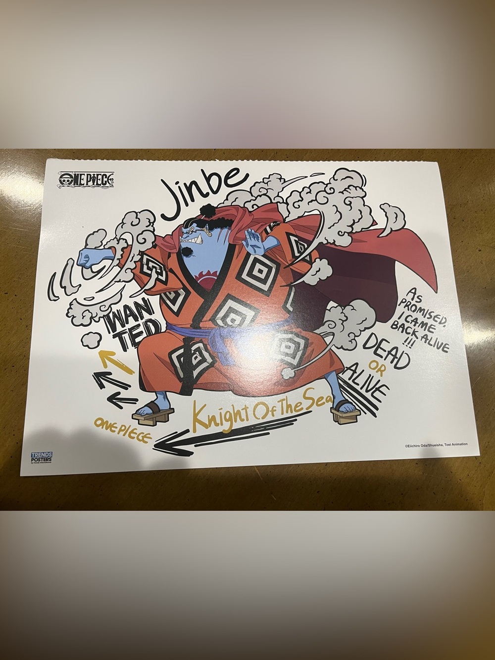One Piece Jinbe Art Print - Knight of the sea Blue & Orange Illustration
